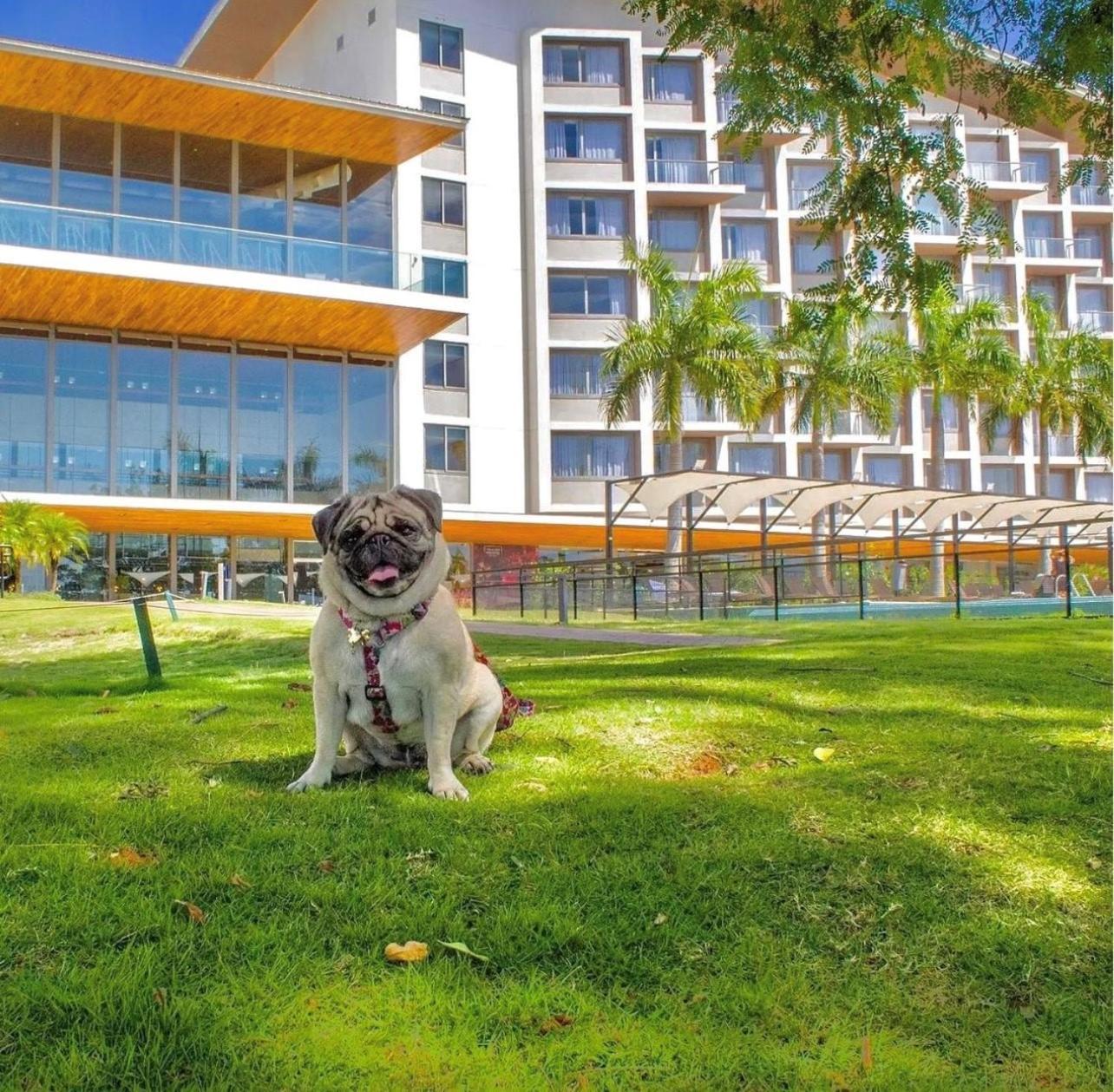 Novotel Itu Terras De Sao Jose Golf & Resort Εξωτερικό φωτογραφία